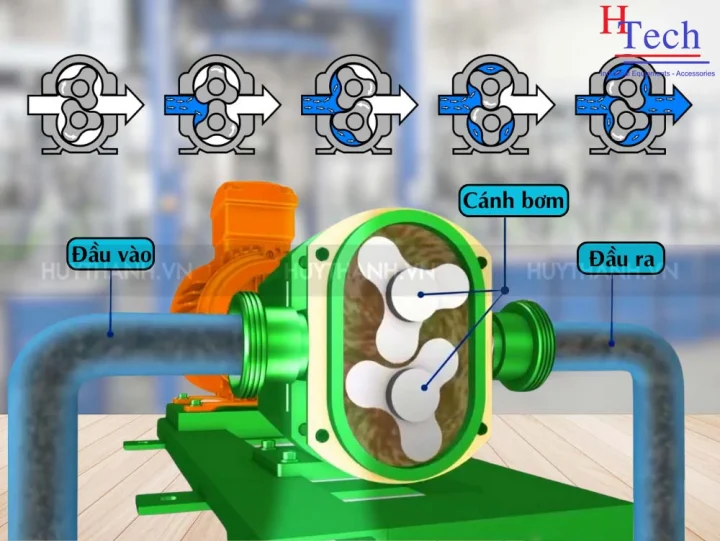 Báo Giá Máy Bơm Thực Phẩm Dạng Sệt Mới Nhất 15 may-bom-thuc-pham-dang-set-huy-thanh-4