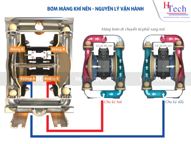 nguyen-ly-van-hanh-bom-mang-khi-nen-huy-thanh-pumps nguyên lý hoạt động của Bơm Màng Khí Nén