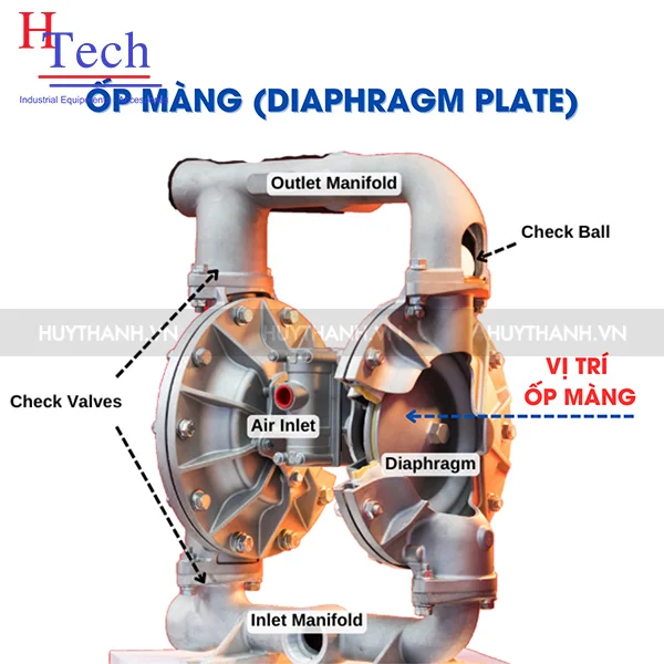 phụ tùng bơm màng khí nén - ốp màng