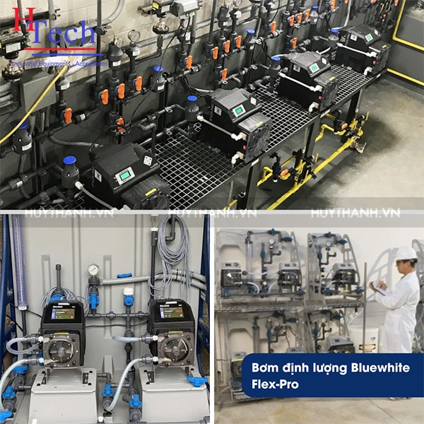 Bơm Định Lượng Blue White flex pro