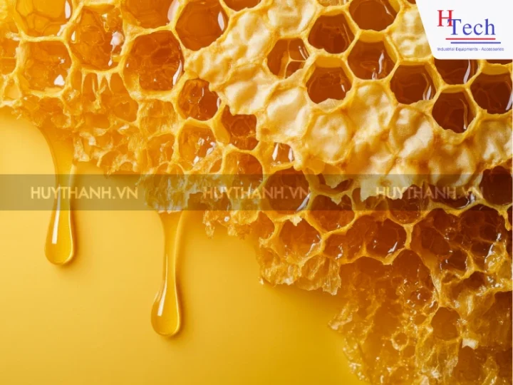 Máy Bơm Mật Ong Công Nghiệp: Nên Đầu Tư Loại Nào? 1 may-bom-mat-ong-huy-thanh-1
