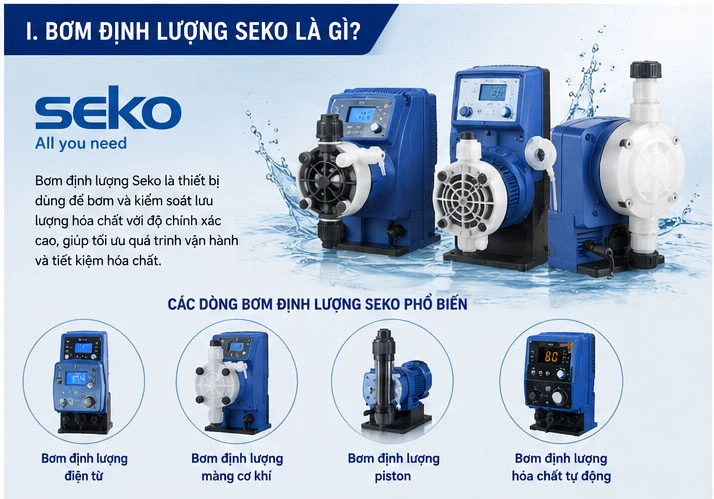 Bơm định Lượng Seko